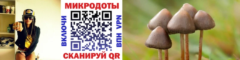 Галлюциногенные грибы мухоморы  Купить где  Славск 