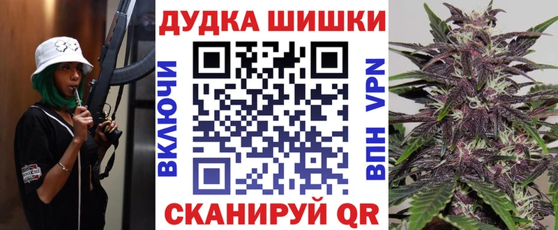 Купить где  Славск  Бошки Шишки ГИДРОПОН 